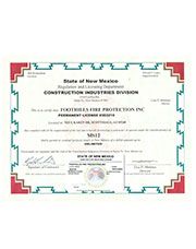 thumb_new_mexico_license